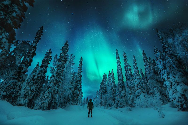 Aurores boréales au-dessus d'une forêt enneigée en Laponie
