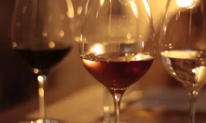 Croatian Wines