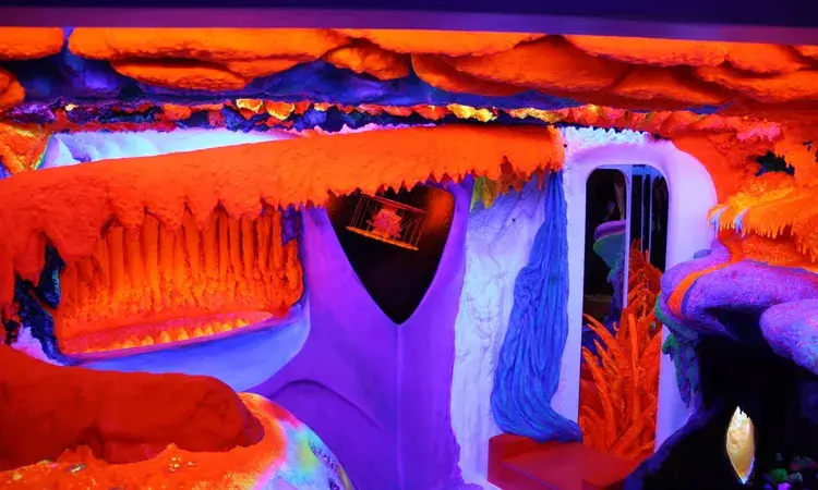 Electric Ladyland - Museum of Fluorescent Art
