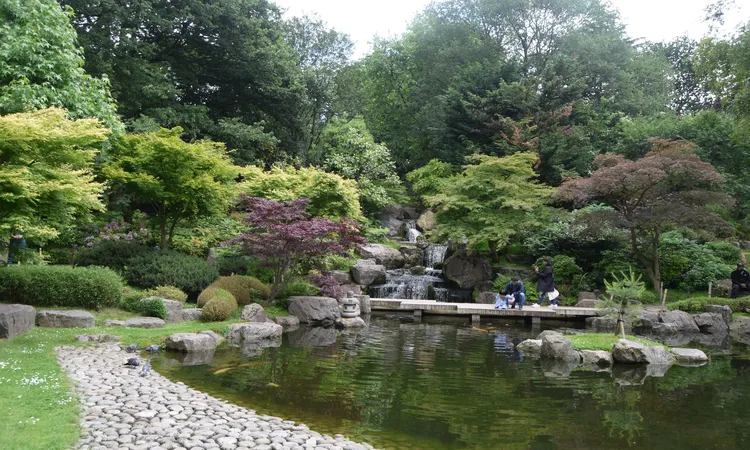 London Holland Park. Kyoto Garden